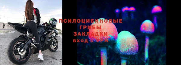 ешки Верхний Тагил