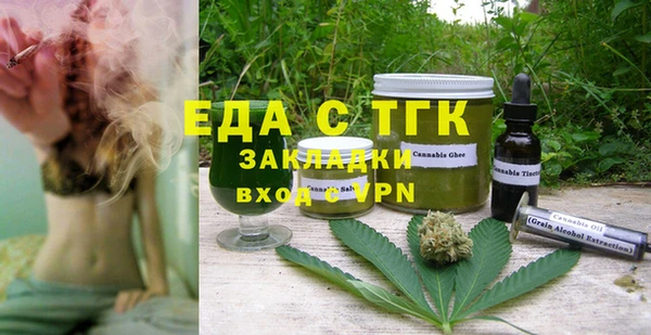 индика Верея