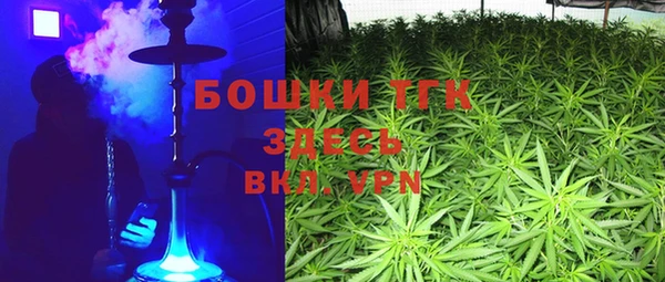 ешки Верхний Тагил