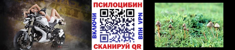 мориарти состав  купить  цена  Катайск  Галлюциногенные грибы Magic Shrooms 