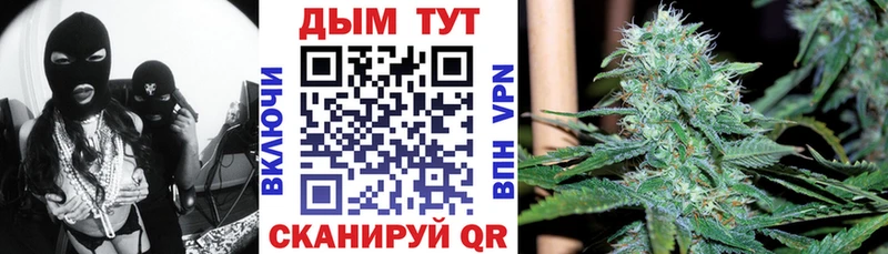 Каннабис гибрид  Катайск 